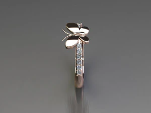 Women Ring Cad File 3D Print Model