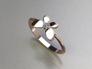 Women Ring Cad File 3D Print Model
