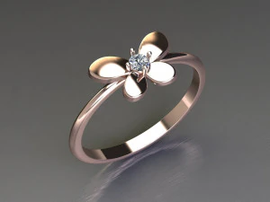 Women Ring Cad File 3D Print Model