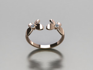 Women Ring Cad File 3D Print Model