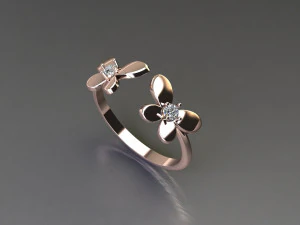 Women Ring Cad File 3D Print Model