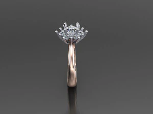 Women Ring Cad File 3D Print Model