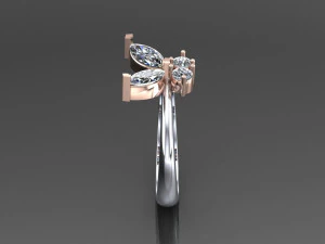 Women Ring Cad File 3D Print Model