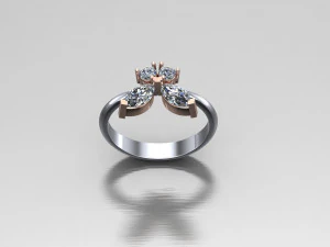 Women Ring Cad File 3D Print Model