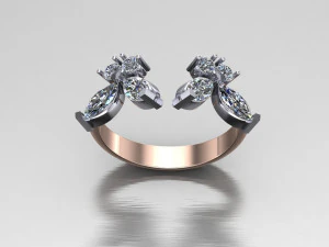 Women Ring Cad File 3D Print Model