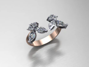 Women Ring Cad File 3D Print Model