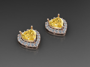 Women Earring Cad File 3D 打印模型