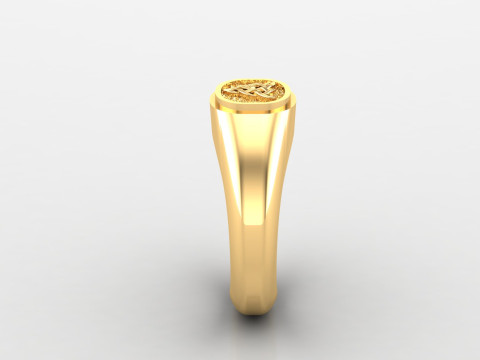 Engage Ring Cad File Ready For Printing Model do druku 3D
