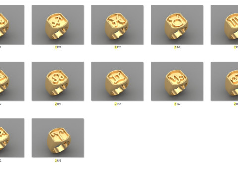 12 Zodiac Man Ring Version 2 Album Ready for Print 3D Print Model