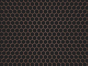 Honeycombs 3D Model