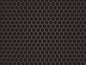 Honeycombs 3D Model