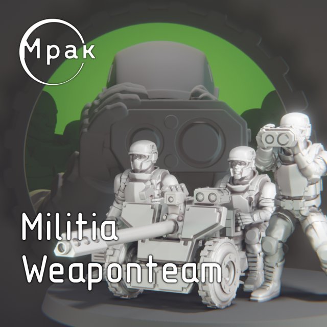 Militia Weaponteam 3D Принт Модель .c4d .max .obj .3ds .fbx .stl .blend 