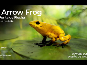 ARROW FROG Model 3D