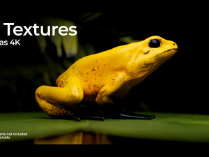 ARROW FROG 3D Model