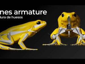 ARROW FROG 3D Model