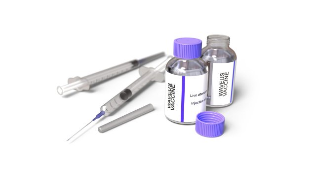 VACCINE SYRINGE 3D Model .c4d .max .obj .3ds .fbx .stl .blend 