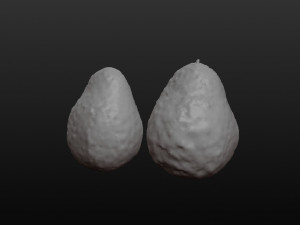 Avocado Modèle 3D
