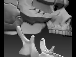 Overlord momon head 3D Print Model