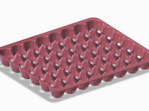 Plastic Egg Tray 3D Print Model