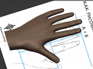 एक मानव हाथ यूनिसेक्स 3D मॉडल