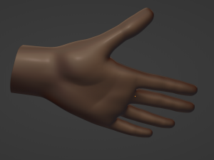 A human hand Unisex 3D Модель