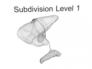 Liver with Pancreas 3D Model