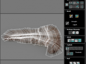 Liver with Pancreas 3D Model