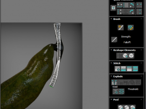 Liver with Pancreas 3D Model