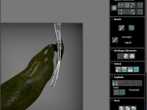 Liver with Pancreas 3D Model