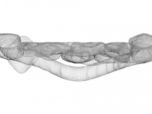 Intestine Modello 3D
