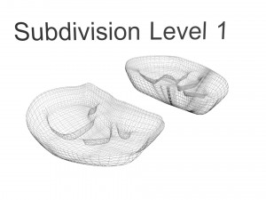 Kidney Section Model 3D