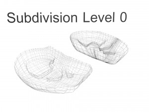Kidney Section Model 3D