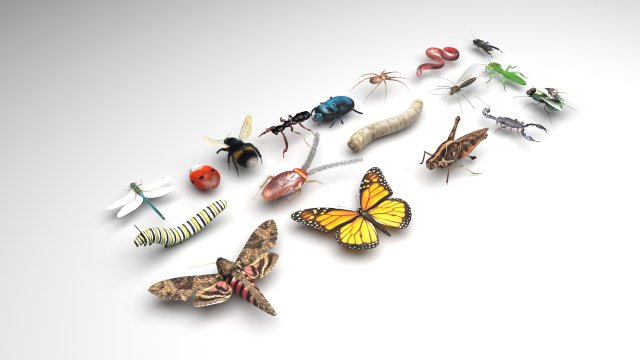 Insects Set 3D Модель .c4d .max .obj .3ds .fbx .stl .blend 