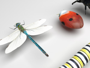 Insects Set 3D Модель