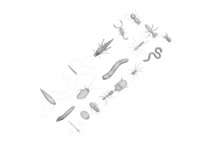 Insects Set 3D Модель