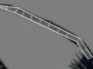 Insects Set 3D Модель