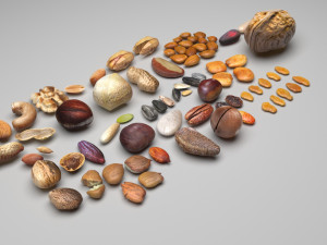 Nuts Collection 3Dモデル