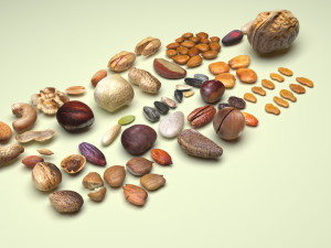 Nuts Collection 3D Model