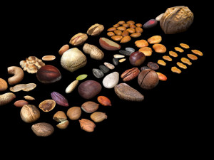 Nuts Collection 3D Model