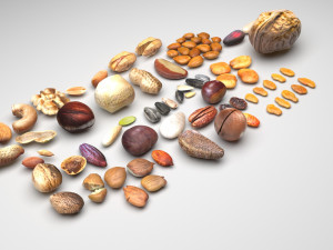 Nuts Collection 3D Model