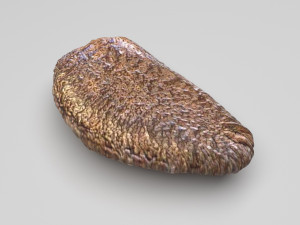 Nuts Collection 3D Model
