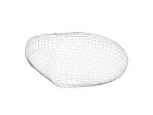 Nuts Collection 3D Model