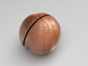 Nuts Collection 3D Model
