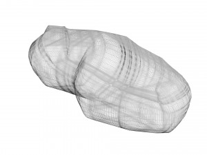 Nuts Collection 3D Model