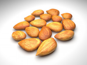Nuts Collection 3D Model