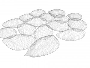 Nuts Collection 3D Model