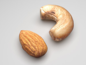 Nuts Collection 3D Model