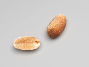 Колекція горіхів 3D Модель