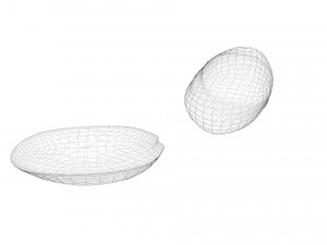 Nuts Collection 3D Model