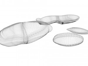 Nuts Collection 3D Model